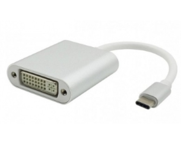 FAST ASIA Adapter - konvertor USB 3.1 tip C (M) - DVI (F) srebrni 