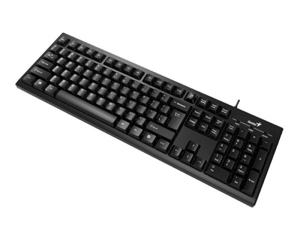 GENIUS KB-100 USB US crna tastatura 