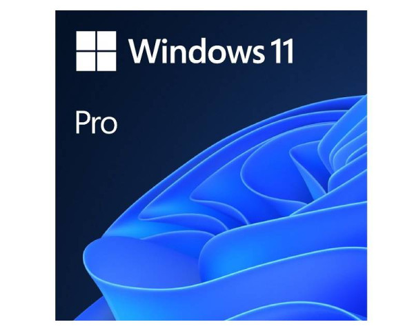 MICROSOFT Windows 11 Pro Eng Intl OEM (FQC-10528) 