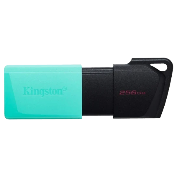 Kingston Flash memorija 256GB